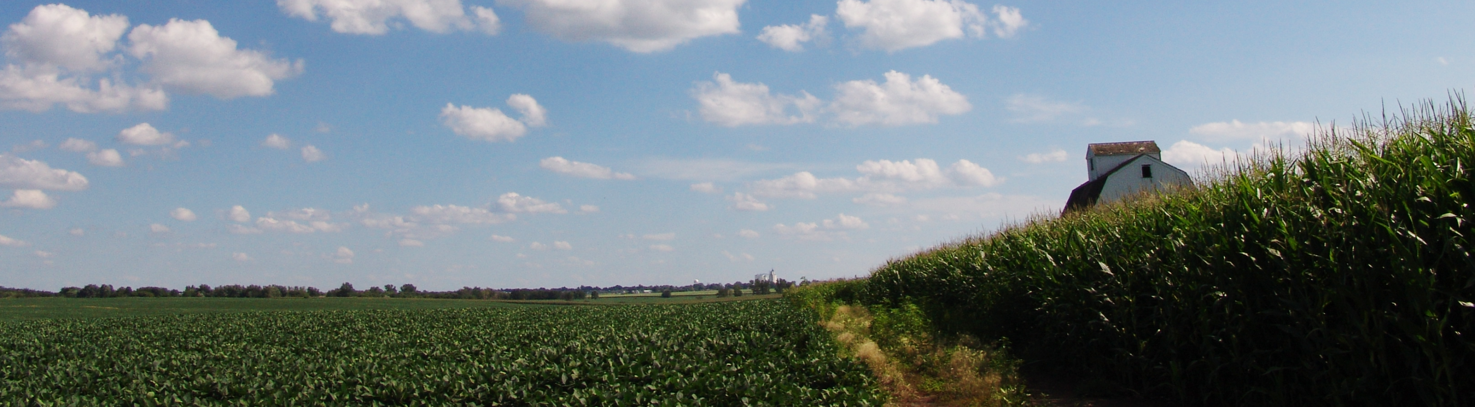 farm field photo