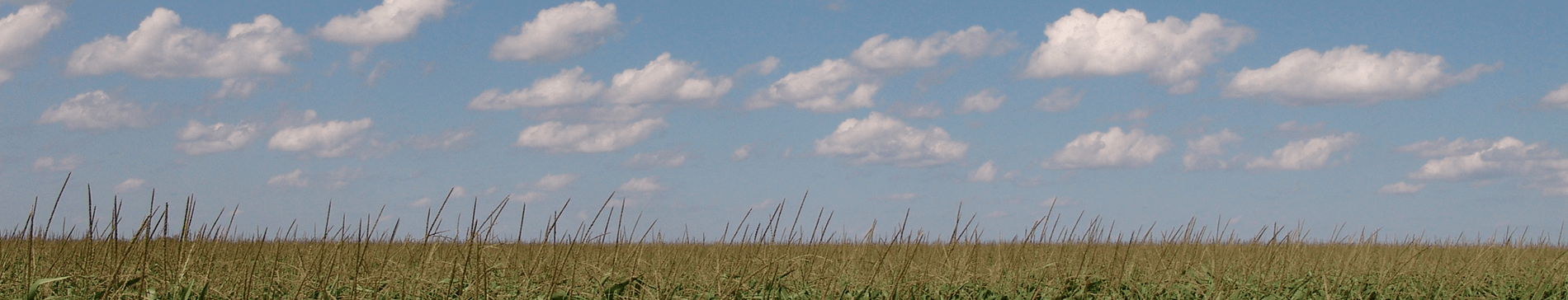 background photo of sky