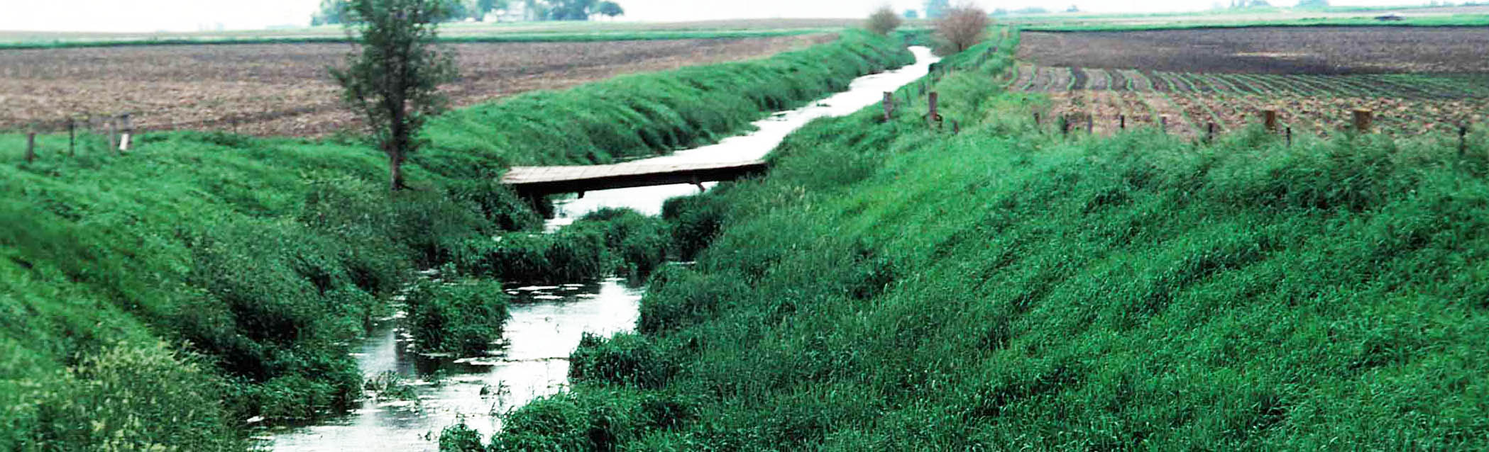 photo of drainage ditch